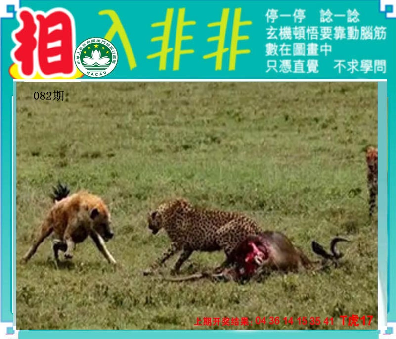 082期相入非非[图]